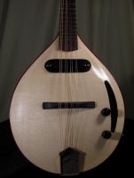 Laughlin Electric mandolin